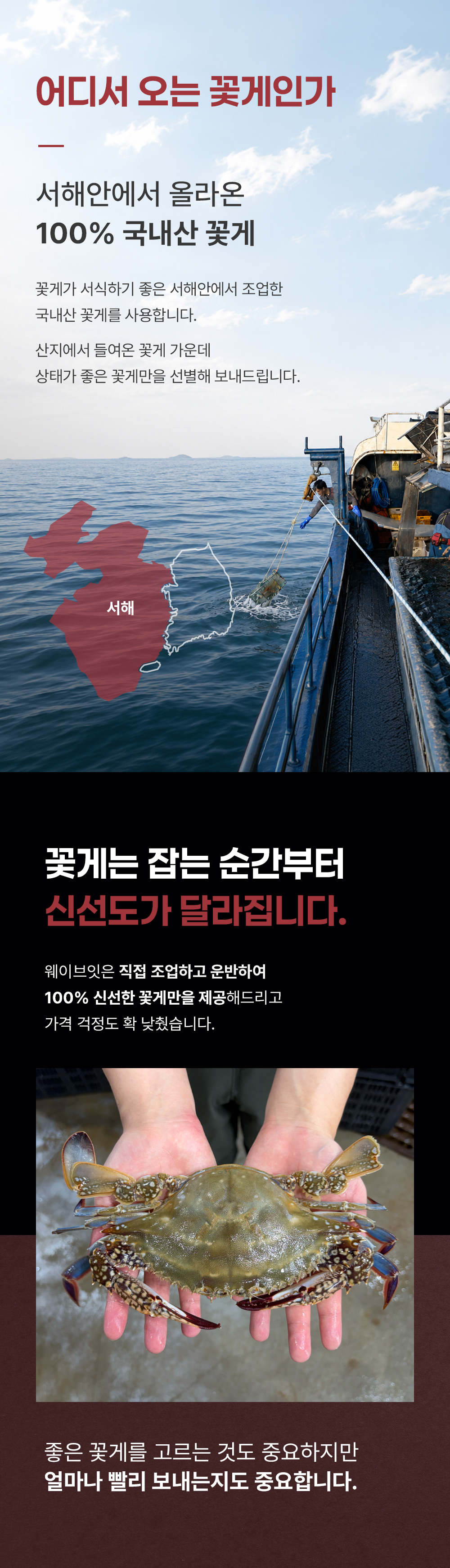 웨이브잇 상세페이지_10-11.JPG